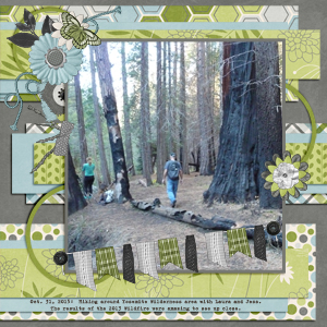 Y_Wilderness Hike