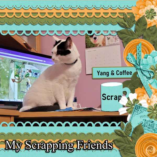 Yang Scrap 3