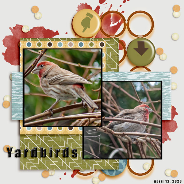 Yardbirds
