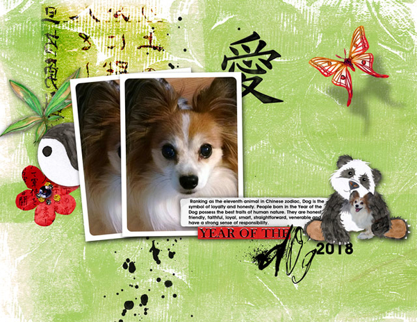 Year of the Dog