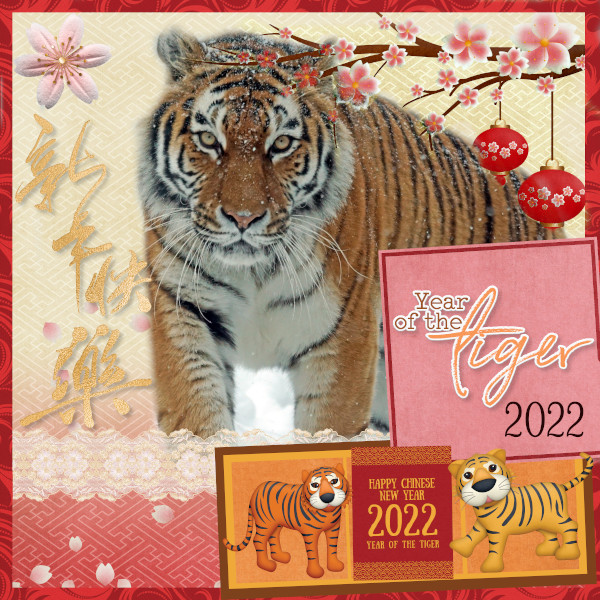Year of the Tiger 2022