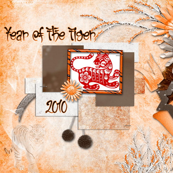 Year Of The Tiger
