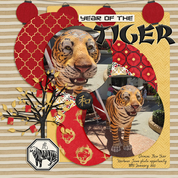 Year of the Tiger