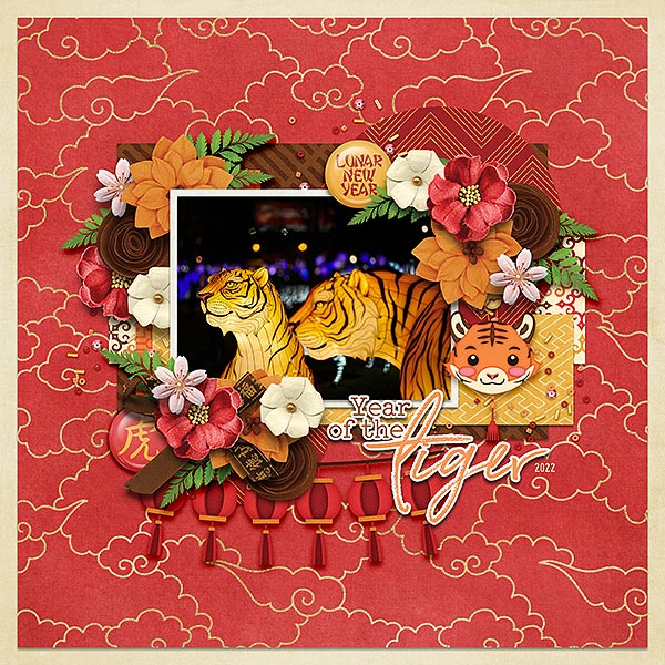 year of the tiger