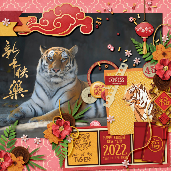 Year Of The Tiger