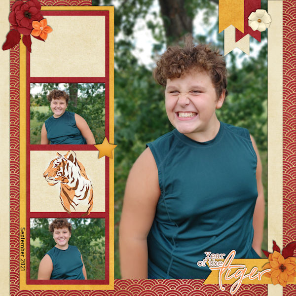 Year of the Tiger