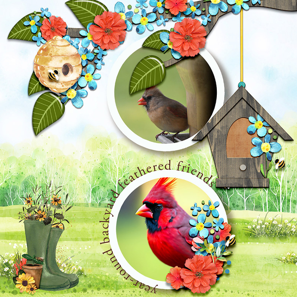 Year-Round Feathered Friends