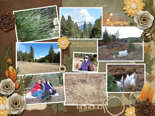 Yearbook 2012 - November