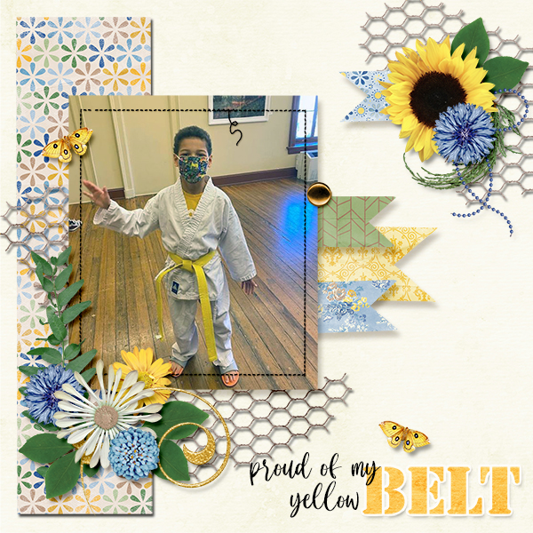 Yellow belt