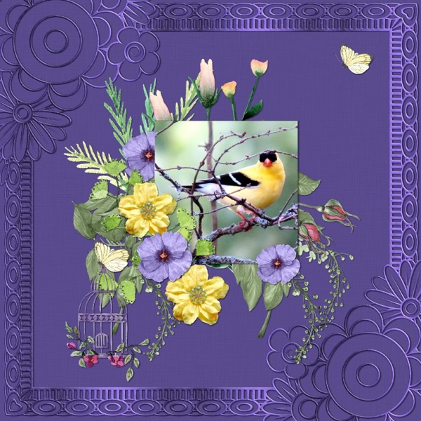 Yellow Bird