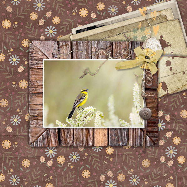 Yellow Bird