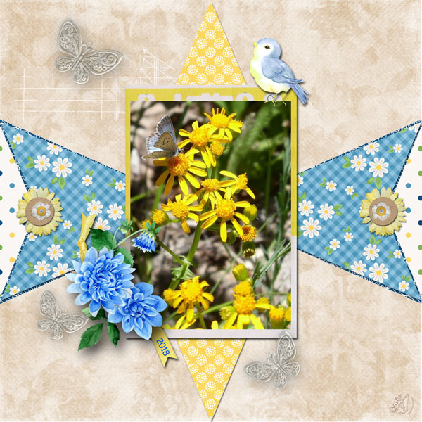 yellow flowers