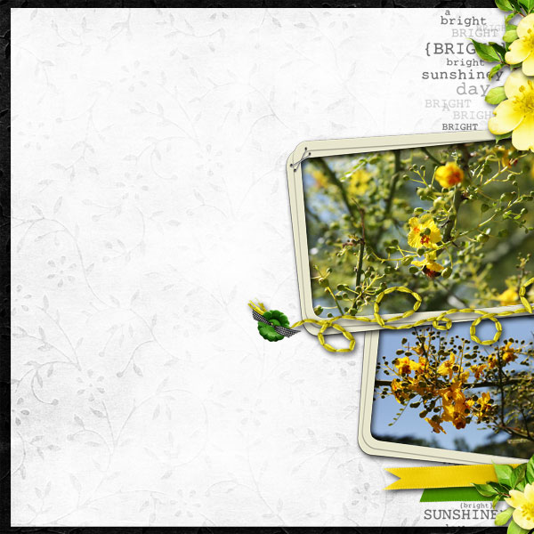 Yellow Flowers