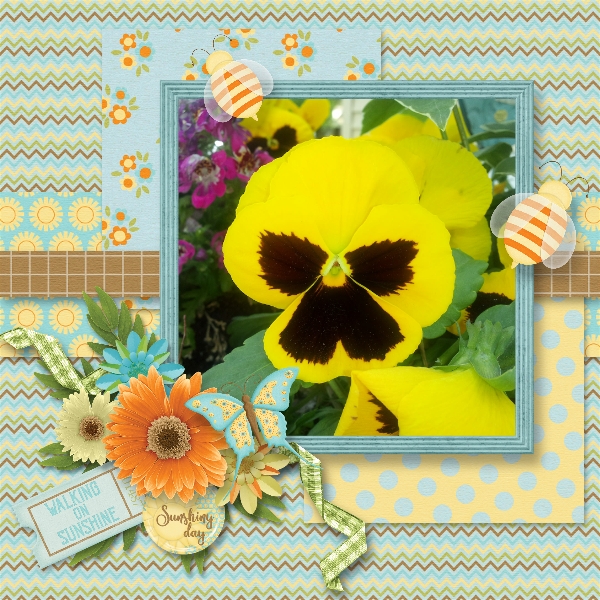 Yellow Pansy