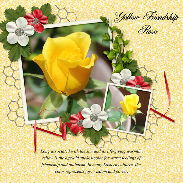 Yellow Rose