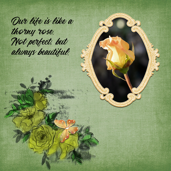 Yellow Rose