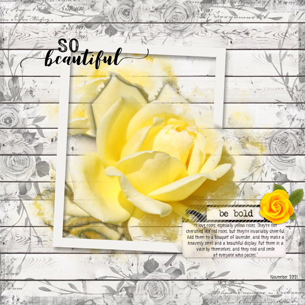 Yellow Rose