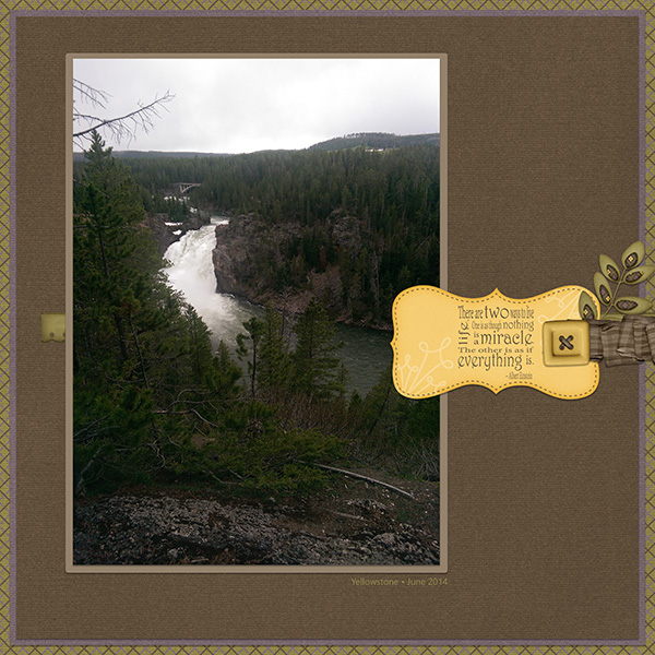Yellowstone 2014