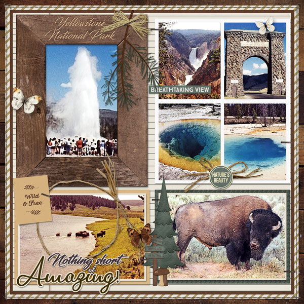 Yellowstone National Park