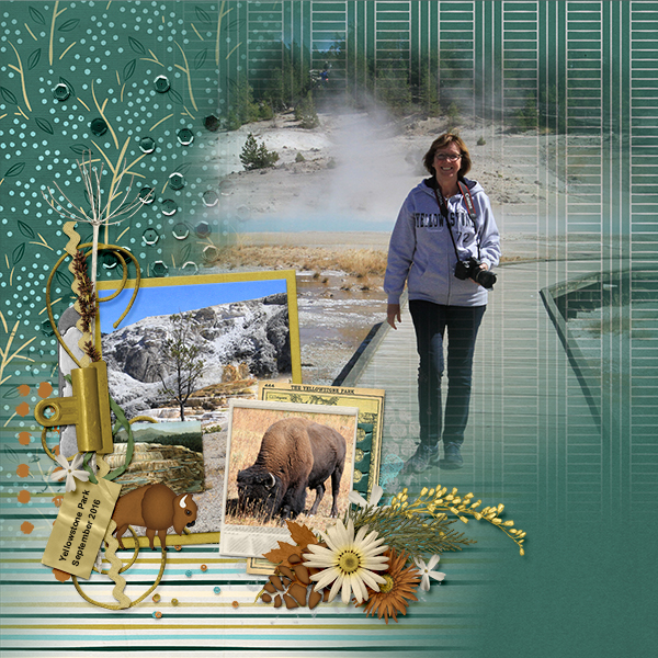 Yellowstone park II