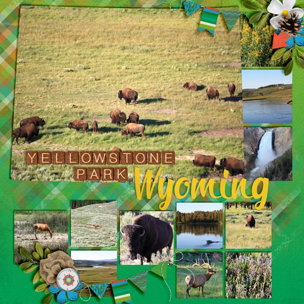 Yellowstone Park