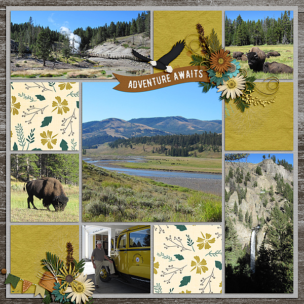 Yellowstone Park