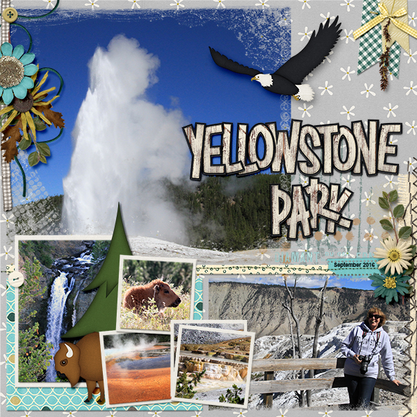 Yellowstone park