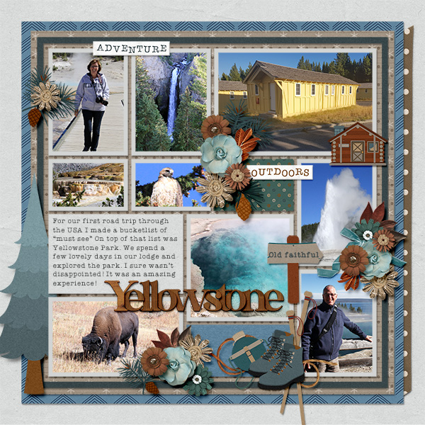 Yellowstone park