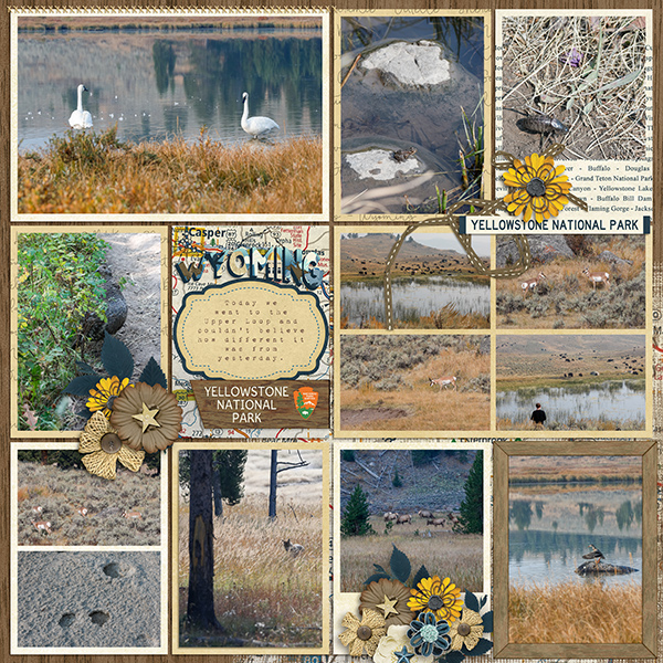 Yellowstone