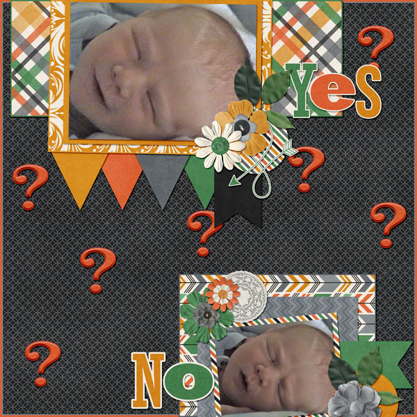 Yes or No