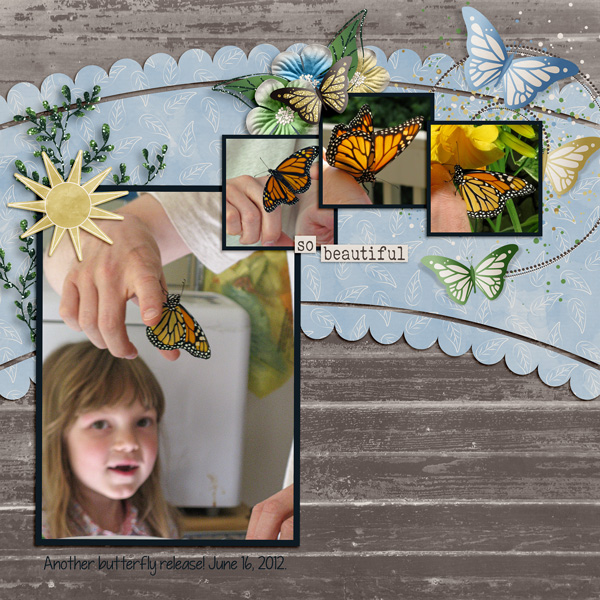 yet another butterfly release