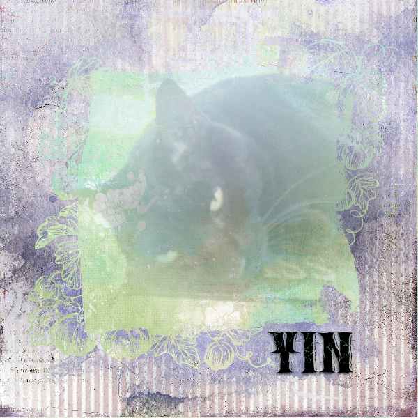 Yin Photomask 10