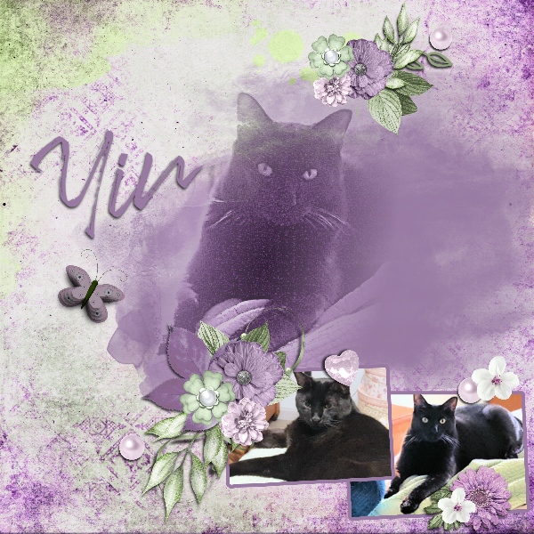 Yin Template #1 Challenge August