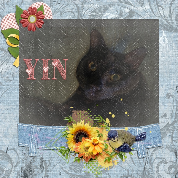 Yin UIA September