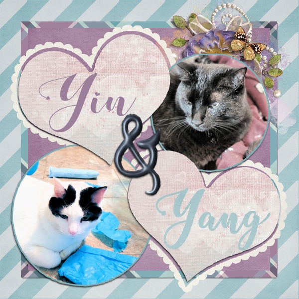 Yin + Yang #2
