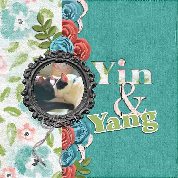 Yin + Yang August Mini