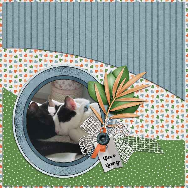 Yin + Yang Slow Scrap