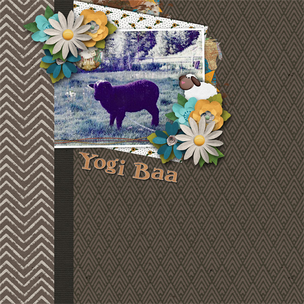 Yogi Baa