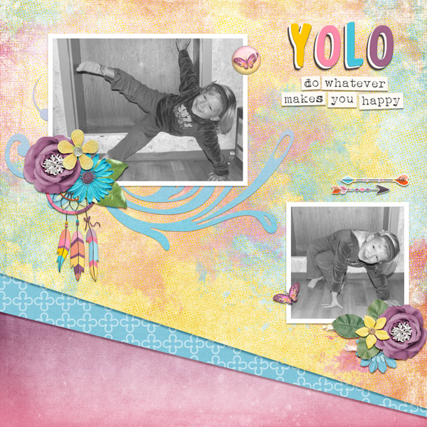 yolo