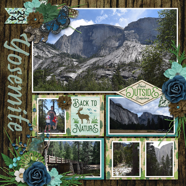 Yosemite 2014 1