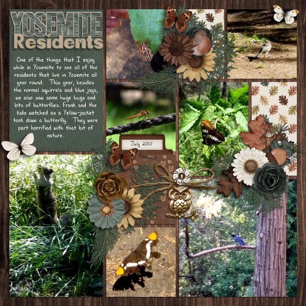 Yosemite Residents