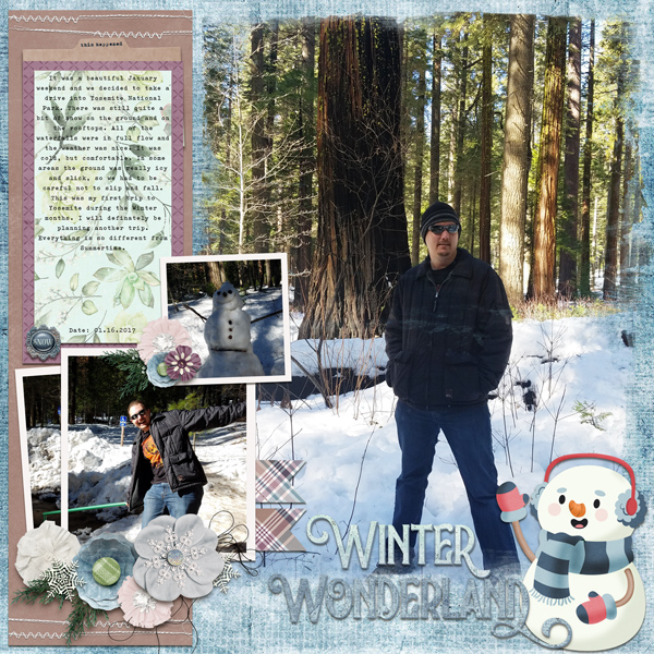 Yosemite Winter
