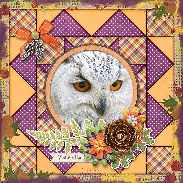 You Are A Hoot