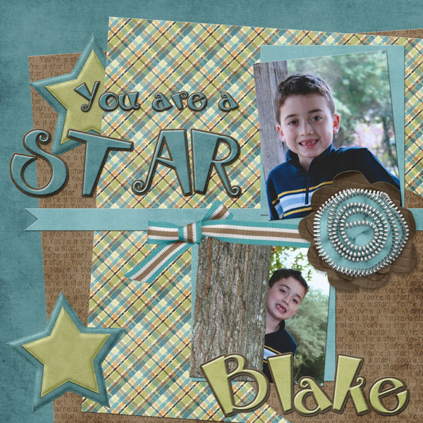 You are a STAR - Blake