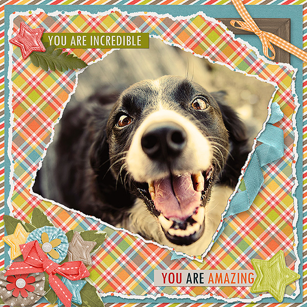 You Are Amazing