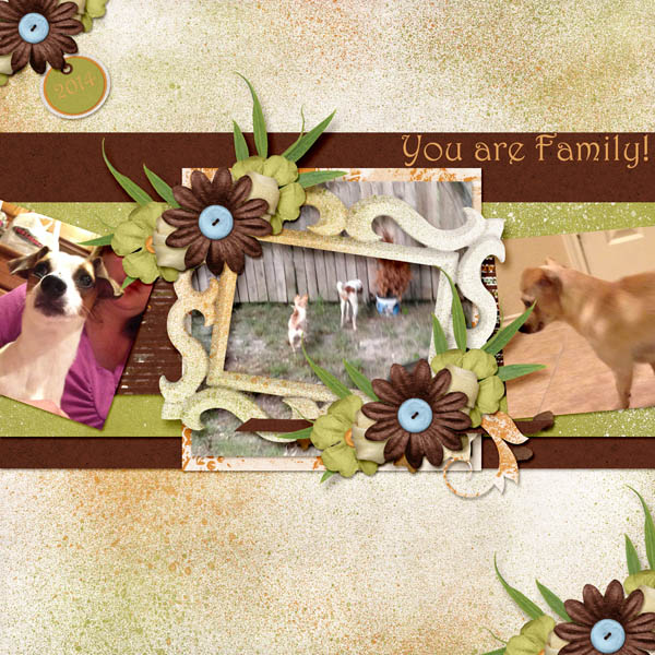 You are Family