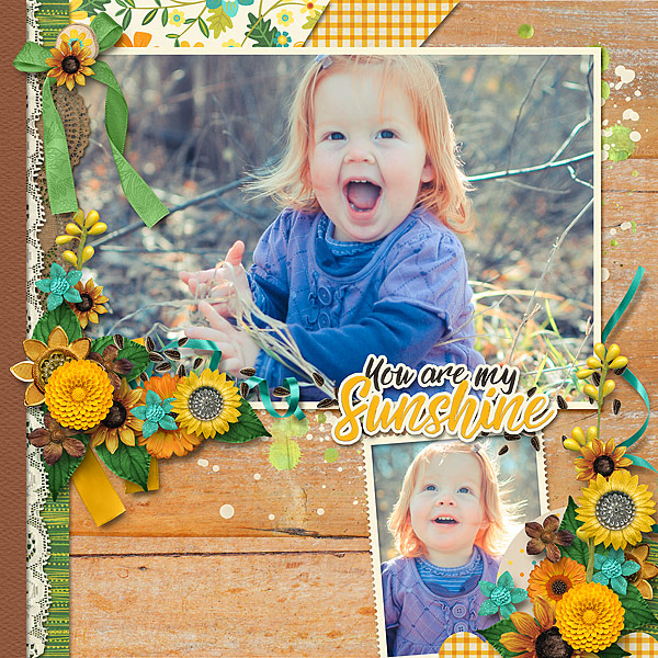you are my sunshine