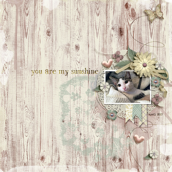 you are my Sunshine