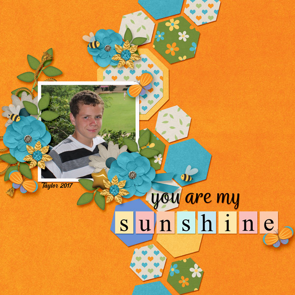 You are my Sunshine