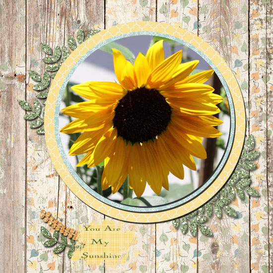You Are My Sunshine